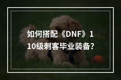 如何搭配《DNF》110级刺客毕业装备？