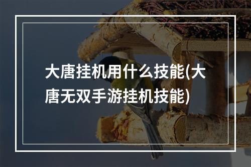 大唐挂机用什么技能(大唐无双手游挂机技能)