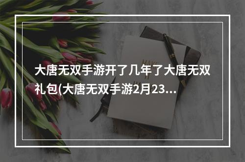 大唐无双手游开了几年了大唐无双礼包(大唐无双手游2月23维护)