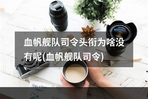 血帆舰队司令头衔为啥没有呢(血帆舰队司令)