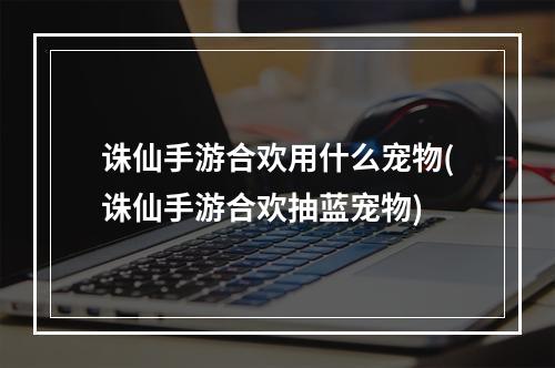 诛仙手游合欢用什么宠物(诛仙手游合欢抽蓝宠物)