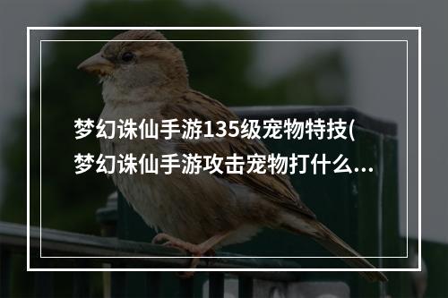 梦幻诛仙手游135级宠物特技(梦幻诛仙手游攻击宠物打什么书)