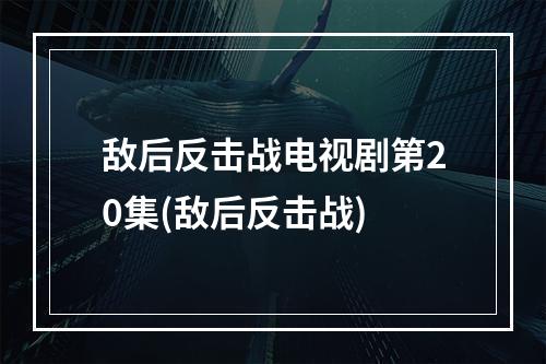 敌后反击战电视剧第20集(敌后反击战)