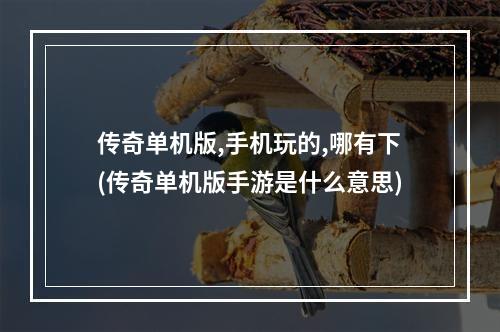 传奇单机版,手机玩的,哪有下(传奇单机版手游是什么意思)