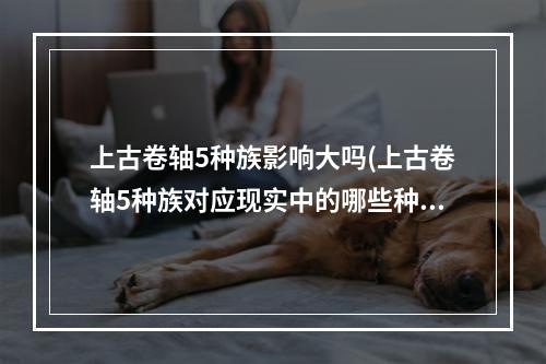 上古卷轴5种族影响大吗(上古卷轴5种族对应现实中的哪些种族 上古卷轴5游戏)