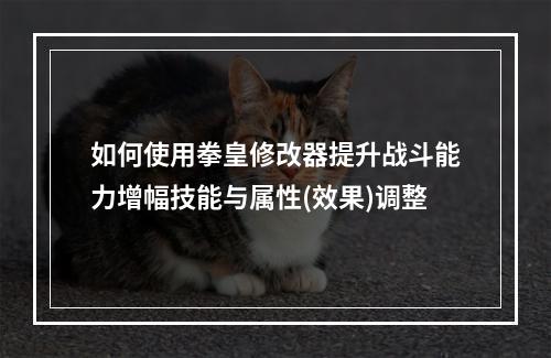 如何使用拳皇修改器提升战斗能力增幅技能与属性(效果)调整