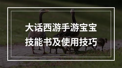 大话西游手游宝宝技能书及使用技巧