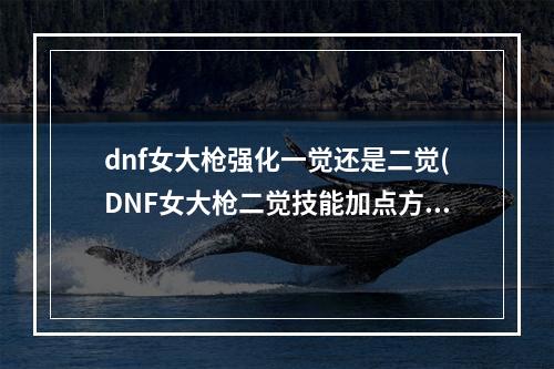 dnf女大枪强化一觉还是二觉(DNF女大枪二觉技能加点方案心得指引)