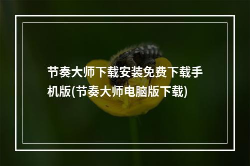 节奏大师下载安装免费下载手机版(节奏大师电脑版下载)