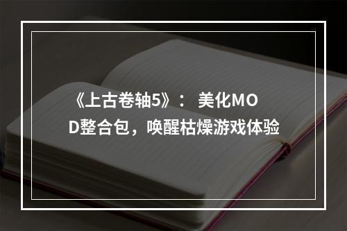 《上古卷轴5》： 美化MOD整合包，唤醒枯燥游戏体验