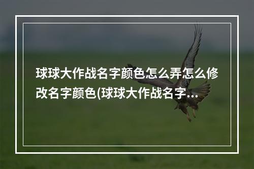 球球大作战名字颜色怎么弄怎么修改名字颜色(球球大作战名字颜色怎么改名字颜色更改教程)