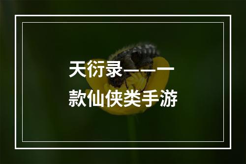 天衍录——一款仙侠类手游