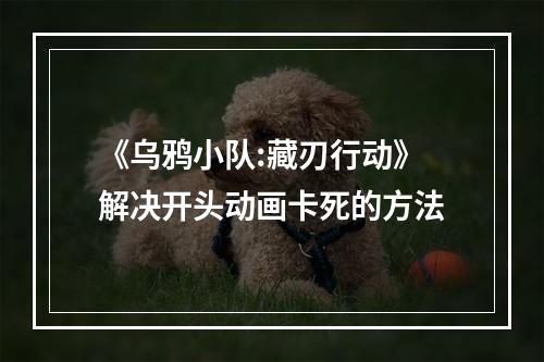 《乌鸦小队:藏刃行动》解决开头动画卡死的方法