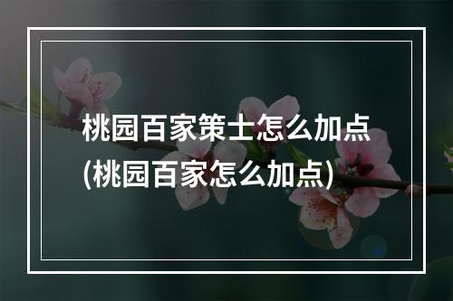 桃园百家策士怎么加点(桃园百家怎么加点)