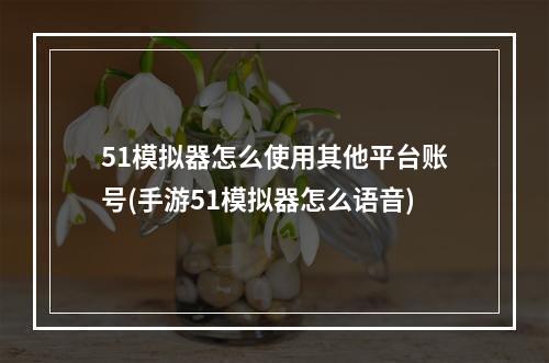 51模拟器怎么使用其他平台账号(手游51模拟器怎么语音)