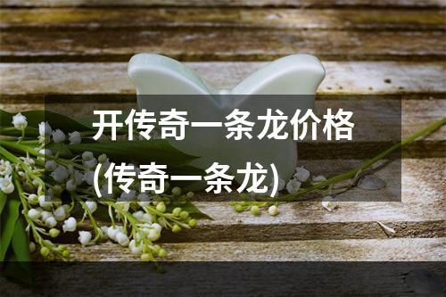 开传奇一条龙价格(传奇一条龙)