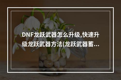 DNF龙跃武器怎么升级,快速升级龙跃武器方法(龙跃武器蓄能值)