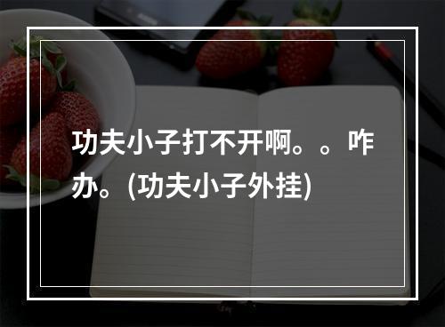 功夫小子打不开啊。。咋办。(功夫小子外挂)