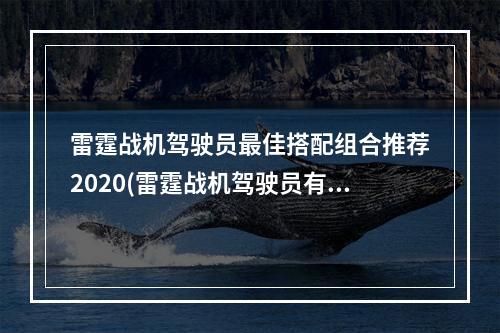 雷霆战机驾驶员最佳搭配组合推荐2020(雷霆战机驾驶员有什么组合技哪个驾驶员组合最强)