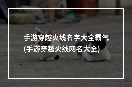 手游穿越火线名字大全霸气(手游穿越火线网名大全)