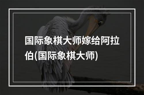 国际象棋大师嫁给阿拉伯(国际象棋大师)