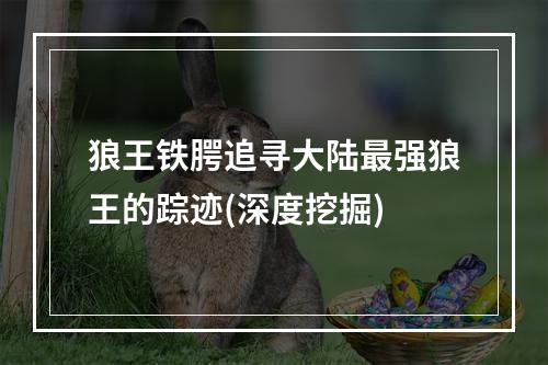 狼王铁腭追寻大陆最强狼王的踪迹(深度挖掘)