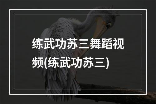 练武功苏三舞蹈视频(练武功苏三)