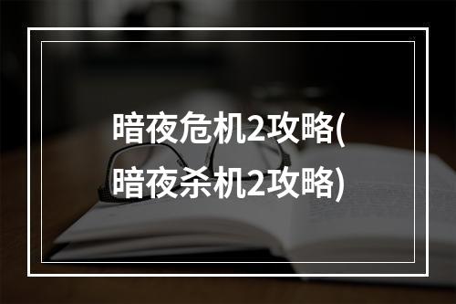 暗夜危机2攻略(暗夜杀机2攻略)