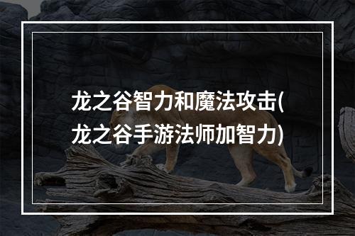 龙之谷智力和魔法攻击(龙之谷手游法师加智力)