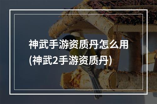 神武手游资质丹怎么用(神武2手游资质丹)