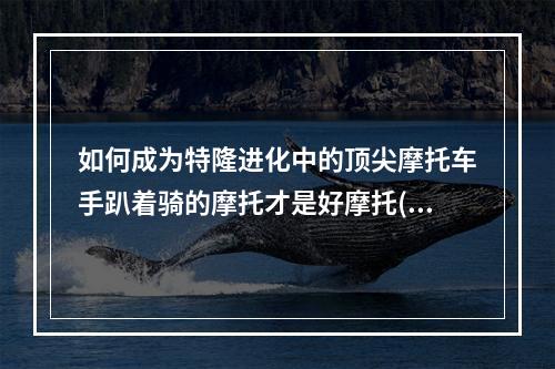 如何成为特隆进化中的顶尖摩托车手趴着骑的摩托才是好摩托(摩托车进化论特隆进化中的最强座驾)