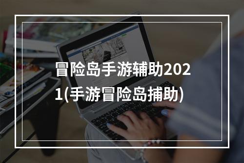 冒险岛手游辅助2021(手游冒险岛捕助)