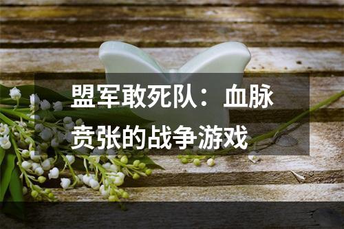 盟军敢死队：血脉贲张的战争游戏