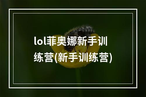 lol菲奥娜新手训练营(新手训练营)