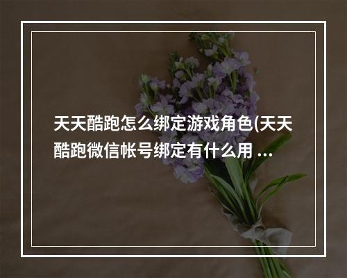 天天酷跑怎么绑定游戏角色(天天酷跑微信帐号绑定有什么用 碧落黄泉打一数字攻略)