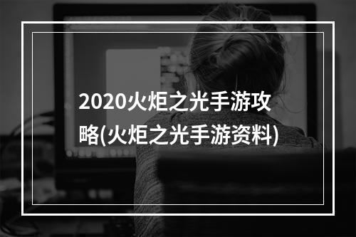 2020火炬之光手游攻略(火炬之光手游资料)