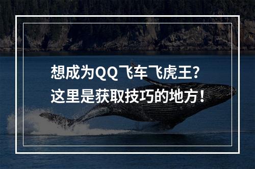 想成为QQ飞车飞虎王？这里是获取技巧的地方！