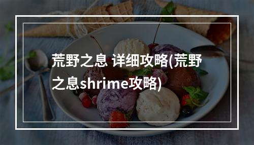 荒野之息 详细攻略(荒野之息shrime攻略)