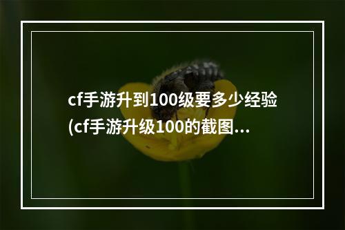 cf手游升到100级要多少经验(cf手游升级100的截图)