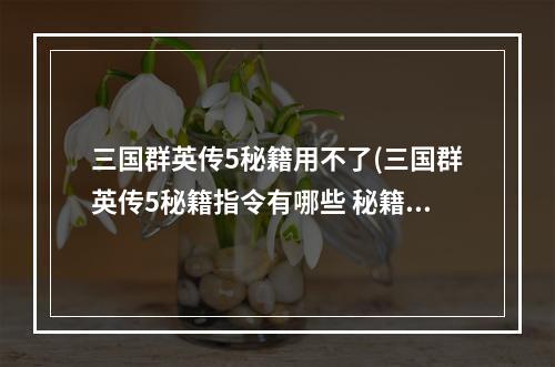 三国群英传5秘籍用不了(三国群英传5秘籍指令有哪些 秘籍指令使用方法  )