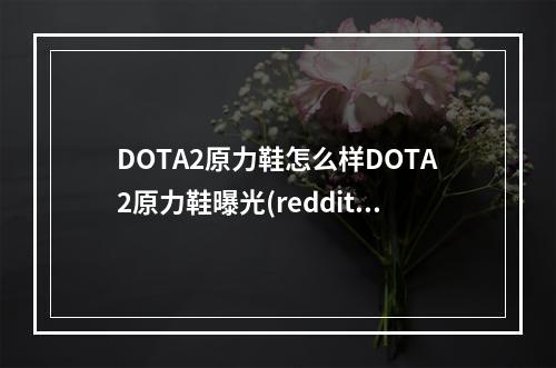 DOTA2原力鞋怎么样DOTA2原力鞋曝光(reddit dota2)