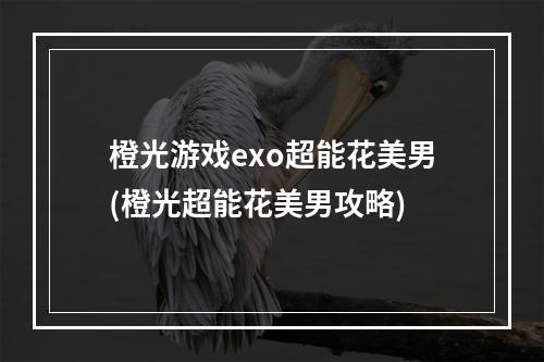 橙光游戏exo超能花美男(橙光超能花美男攻略)