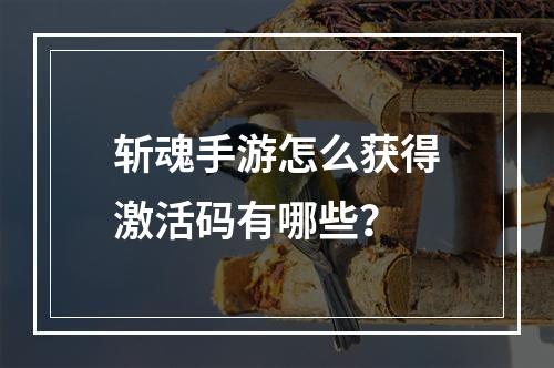 斩魂手游怎么获得激活码有哪些？