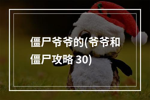 僵尸爷爷的(爷爷和僵尸攻略 30)