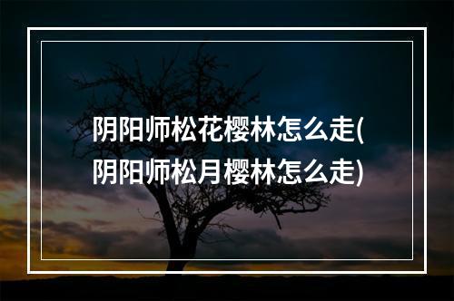 阴阳师松花樱林怎么走(阴阳师松月樱林怎么走)