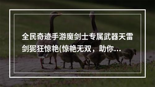 全民奇迹手游魔剑士专属武器天雷剑狔狂惊艳(惊艳无双，助你战无不胜)