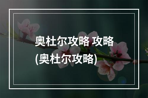 奥杜尔攻略 攻略(奥杜尔攻略)