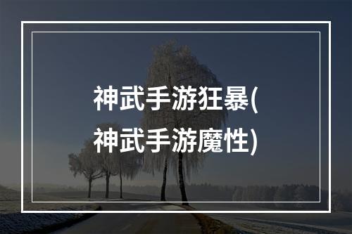 神武手游狂暴(神武手游魔性)