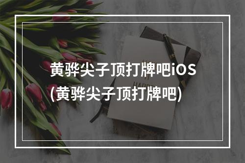 黄骅尖子顶打牌吧iOS(黄骅尖子顶打牌吧)