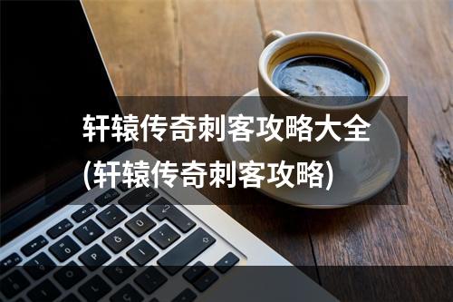 轩辕传奇刺客攻略大全(轩辕传奇刺客攻略)